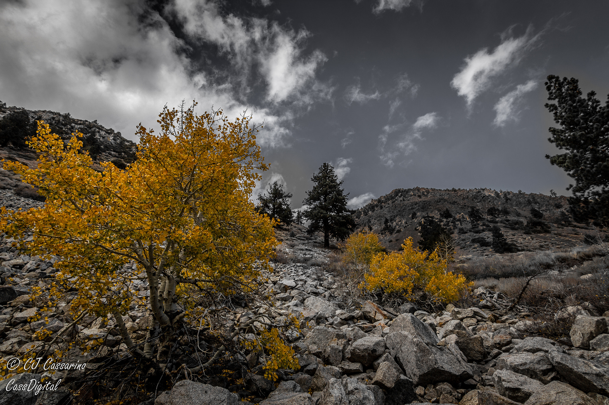 Canon EOS 600D (Rebel EOS T3i / EOS Kiss X5) sample photo. Fall colors explosion photography