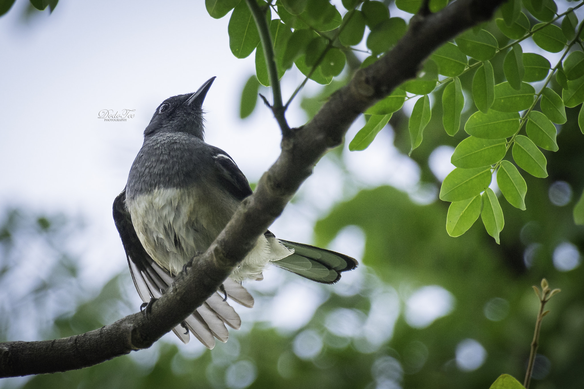 Sony 70-400mm F4-5.6 G SSM II sample photo