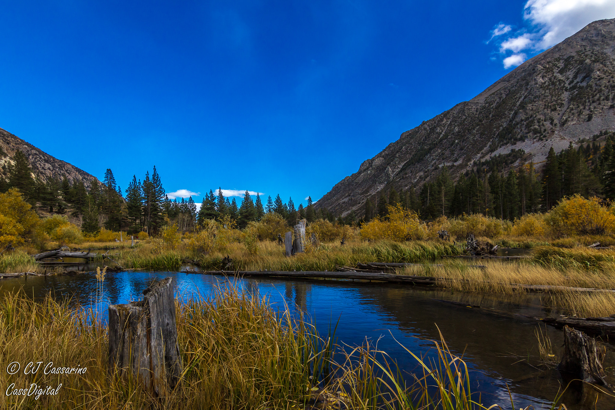 Canon EOS 600D (Rebel EOS T3i / EOS Kiss X5) sample photo. Meadow of fall colors photography