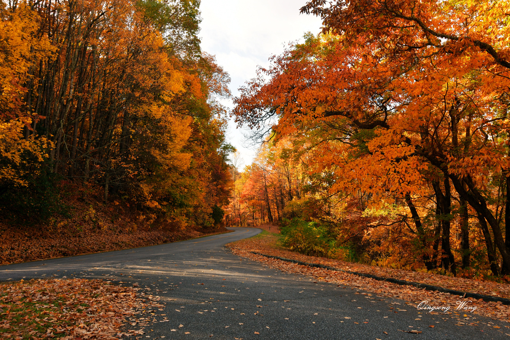 Nikon D500 sample photo. The blue ridge parkway photography