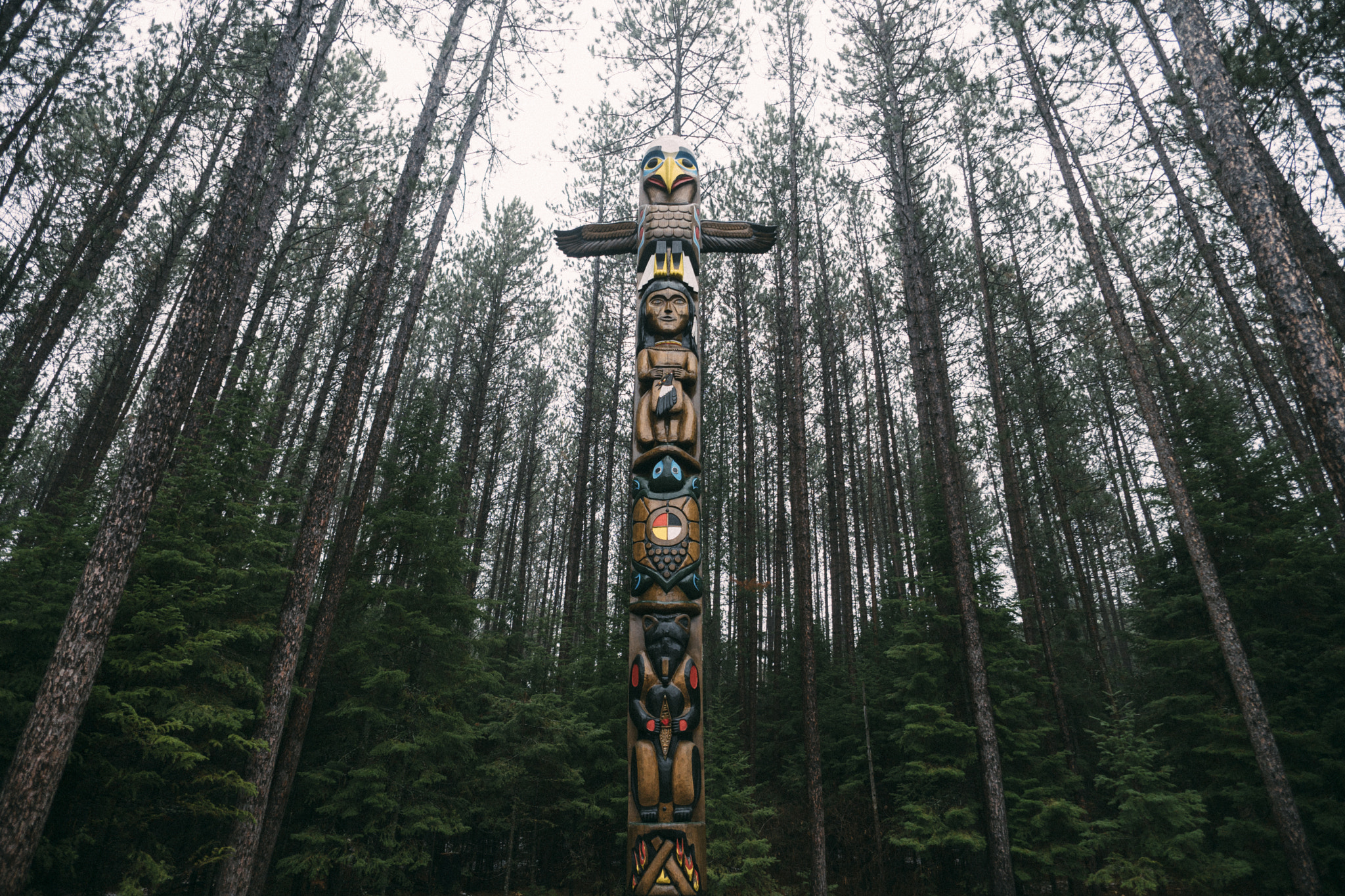 Sony a6300 + ZEISS Touit 12mm F2.8 sample photo. Algonquin provincial park | ontario photography