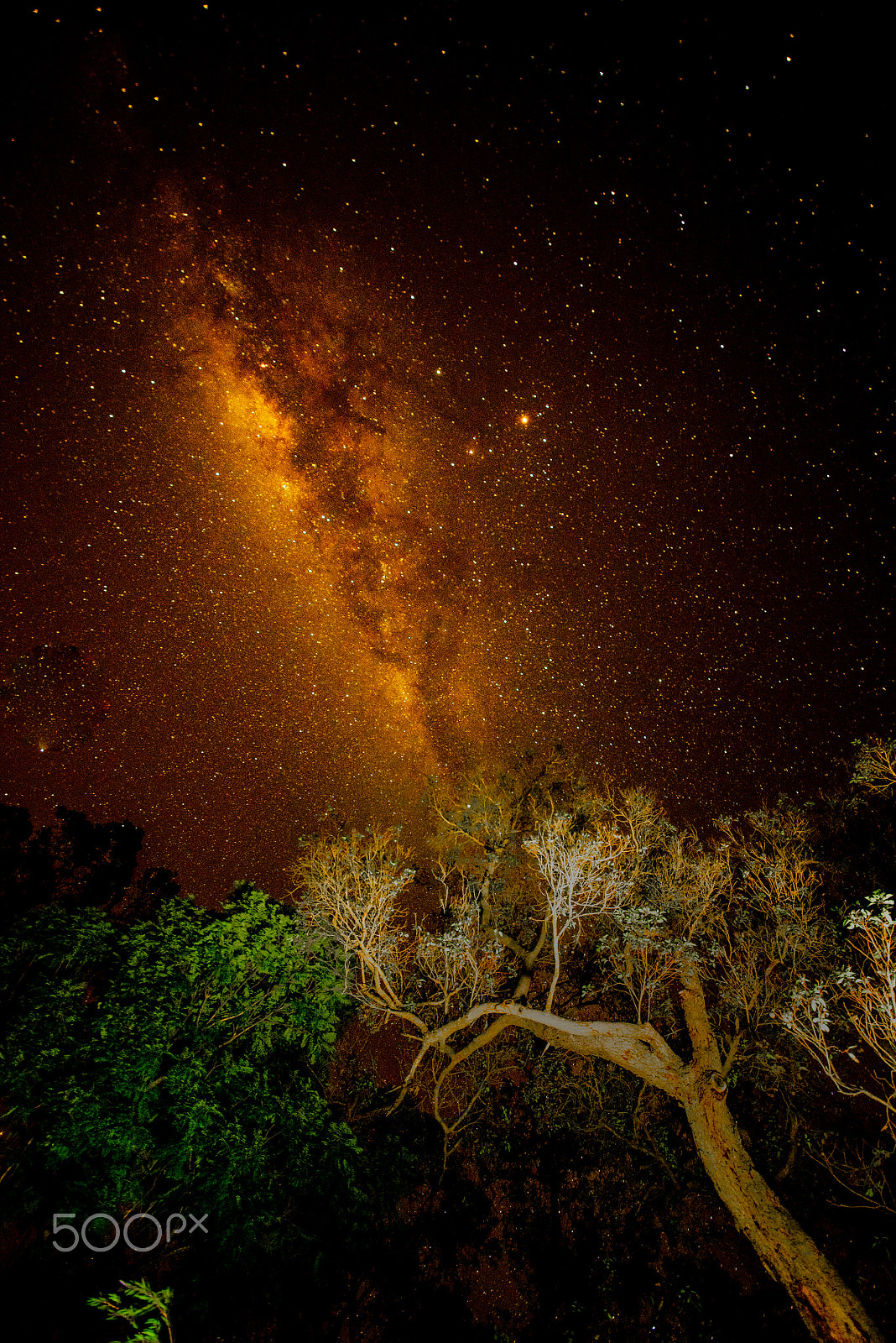 Sigma 12-24mm F4.5-5.6 II DG HSM sample photo. Milky way over mundaring weir photography