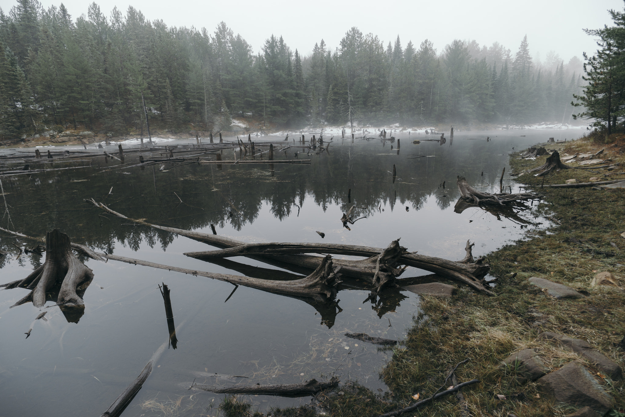 ZEISS Touit 12mm F2.8 sample photo. Algonquin provincial park | ontario photography