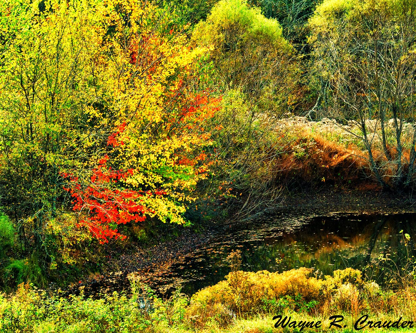 Panasonic Lumix DMC-GF5 sample photo. October in kentucky photography