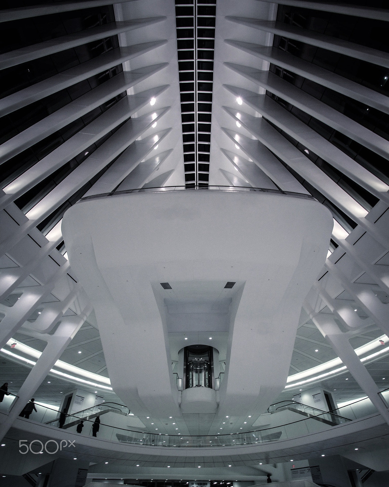 Sigma 10-20mm F3.5 EX DC HSM sample photo. Untitled photography