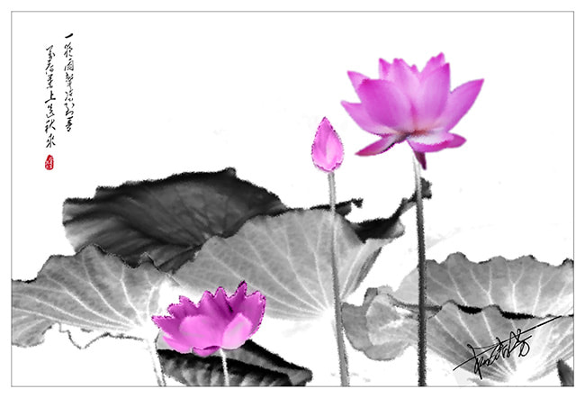 Nikon D300S sample photo. 墨荷 photography