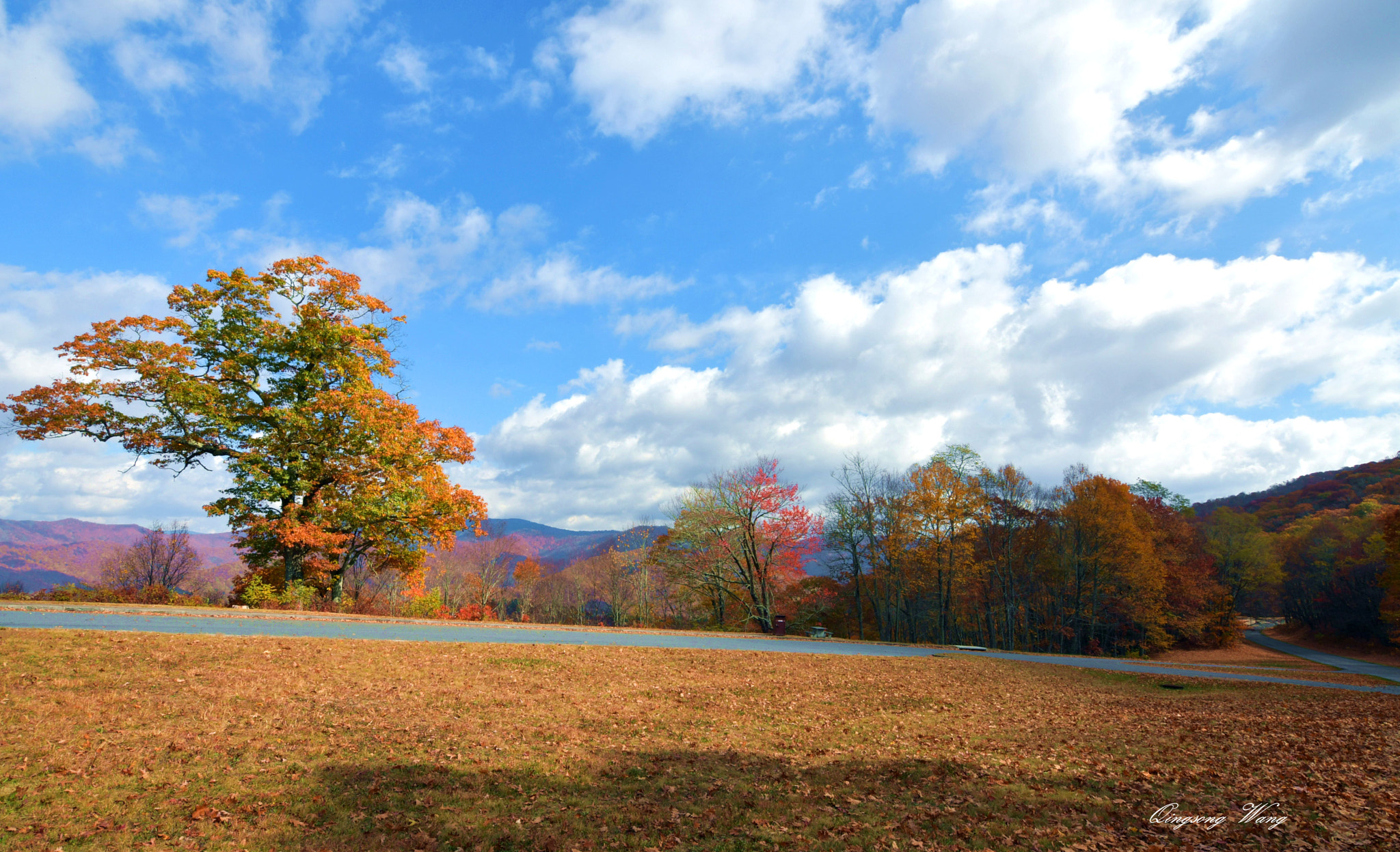 Nikon D500 sample photo. The blue ridge parkway. photography