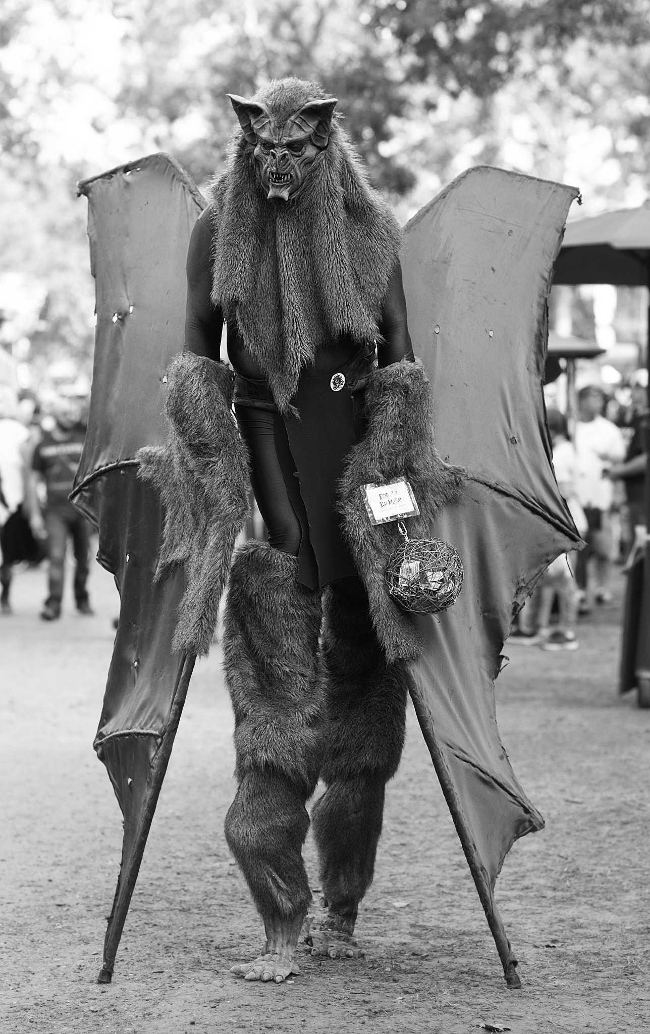 Sony a99 II + Minolta AF 85mm F1.4 G (D) sample photo. Batty bat photography