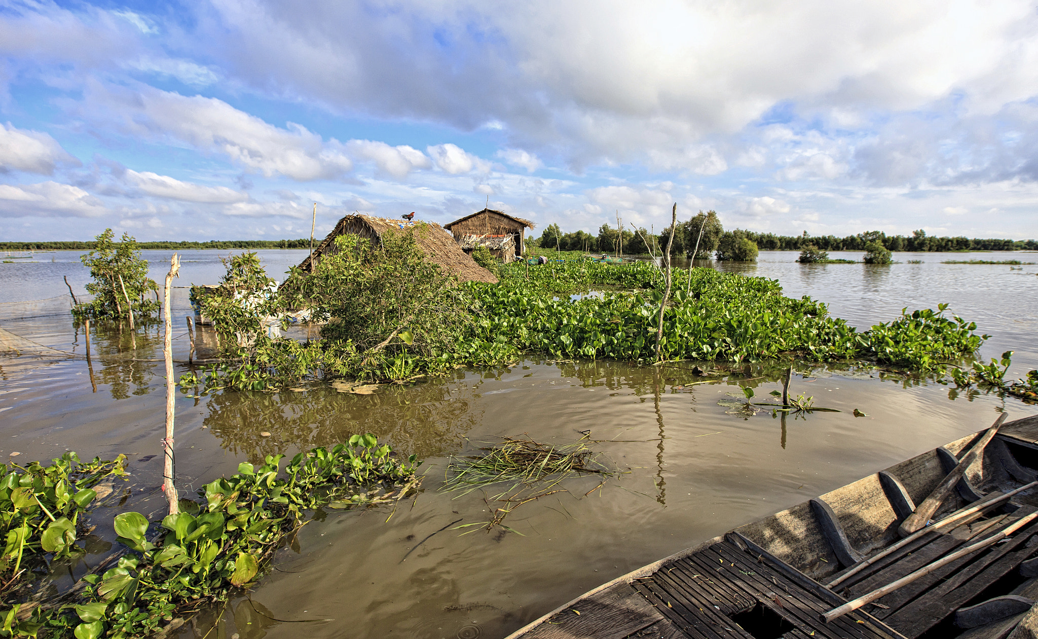 Canon EOS-1Ds Mark III sample photo. Flooding in mekong river delta photography