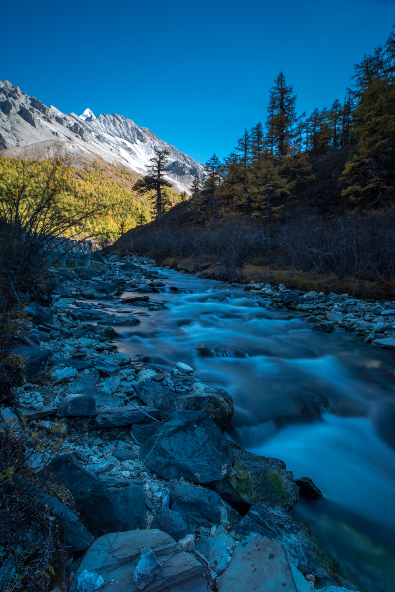 Nikon D800 sample photo. Ads photography