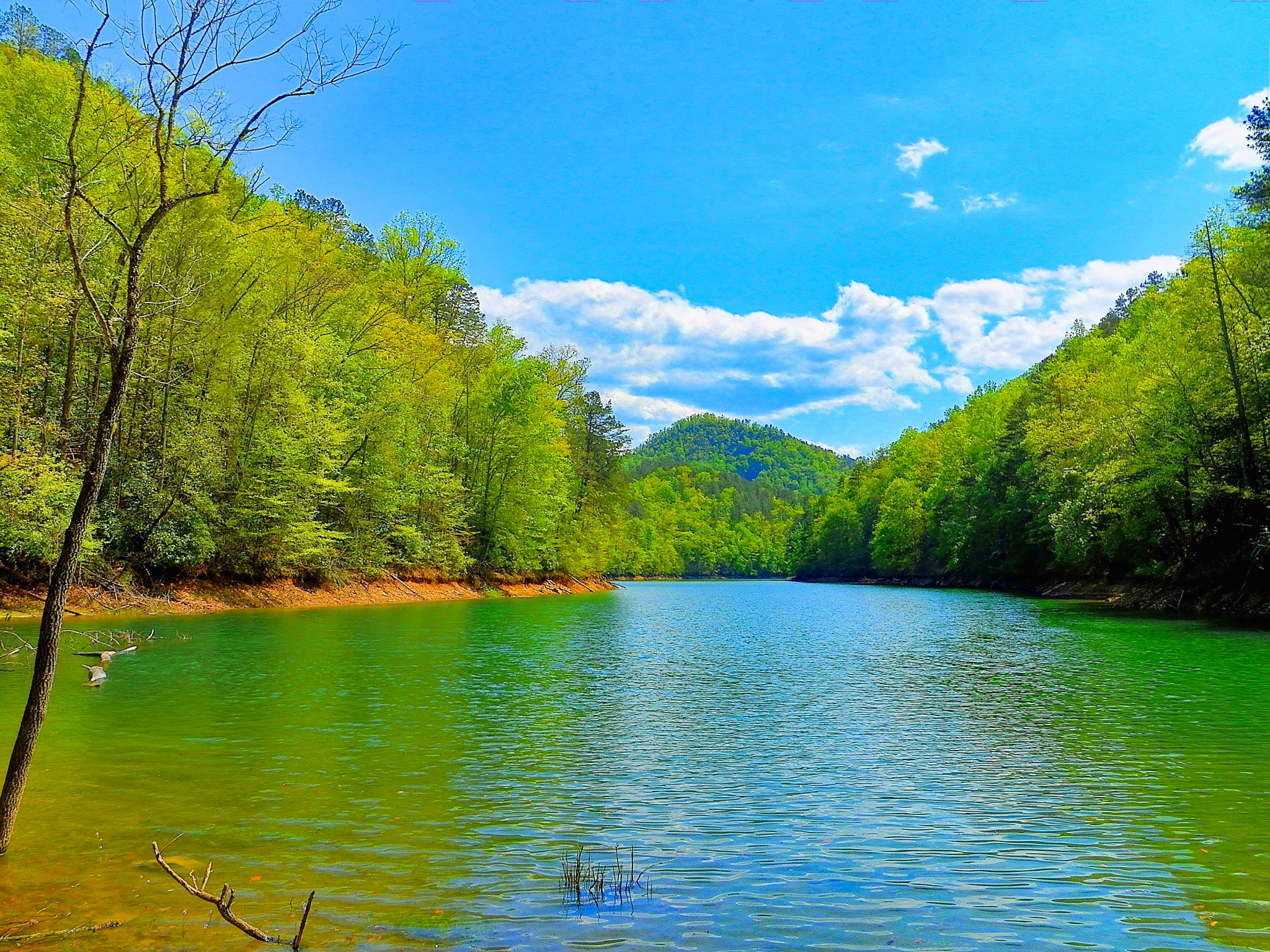 Kodak EasyShare Z990 (EasyShare Max) sample photo. Lake at the road to nowhere photography