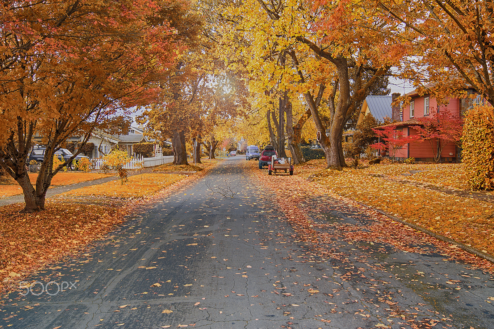 Sony SLT-A77 + Sony DT 18-55mm F3.5-5.6 SAM sample photo. The day after halloween photography