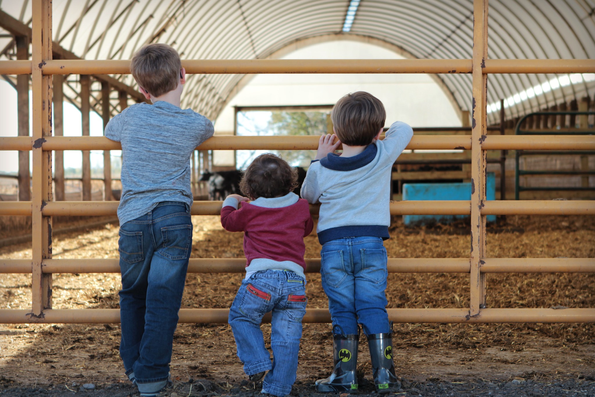 Canon EF 24-70mm F2.8L USM sample photo. Boys in blue jeans photography