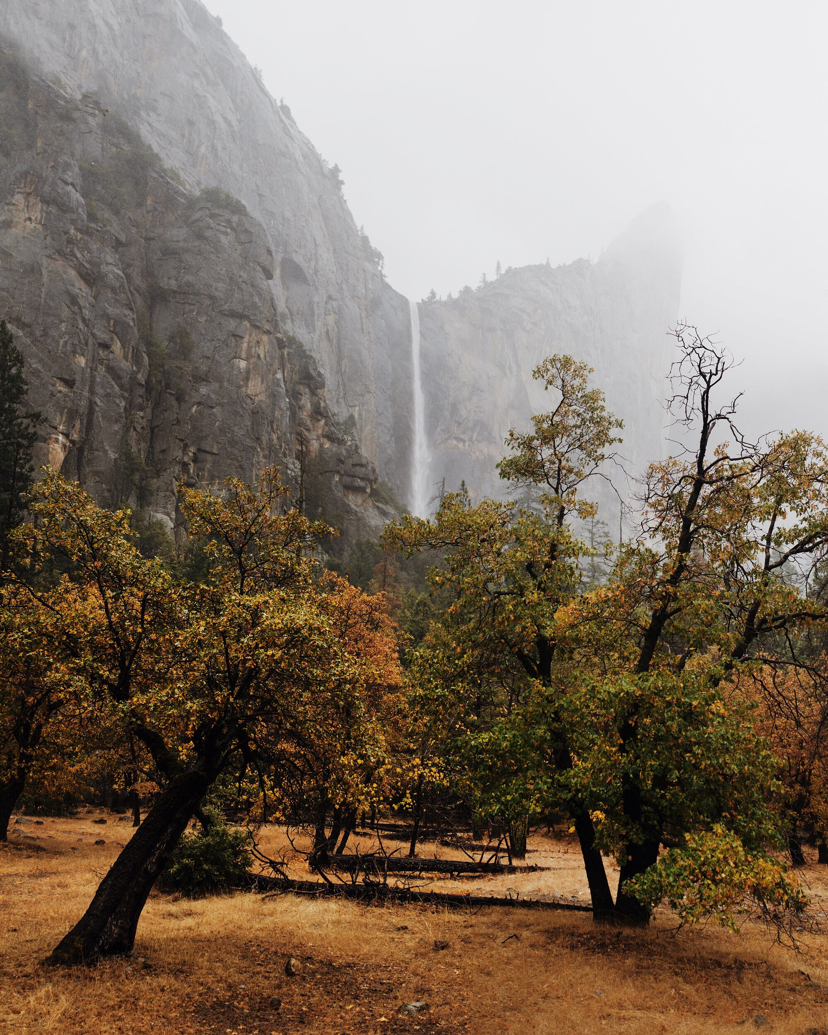 Nikon D4 + Sigma 35mm F1.4 DG HSM Art sample photo. Stormy autumn bridal veil falls. yosemite. california. photography