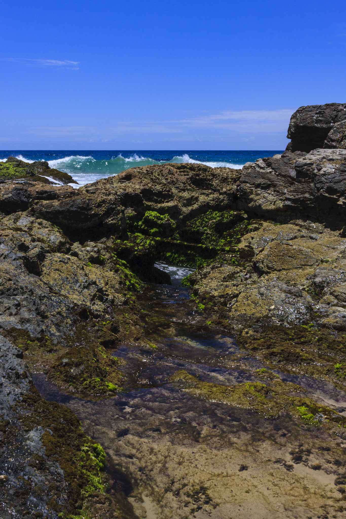 Canon EF-S 18-55mm F3.5-5.6 II sample photo. Rock pool, snapper rocks photography