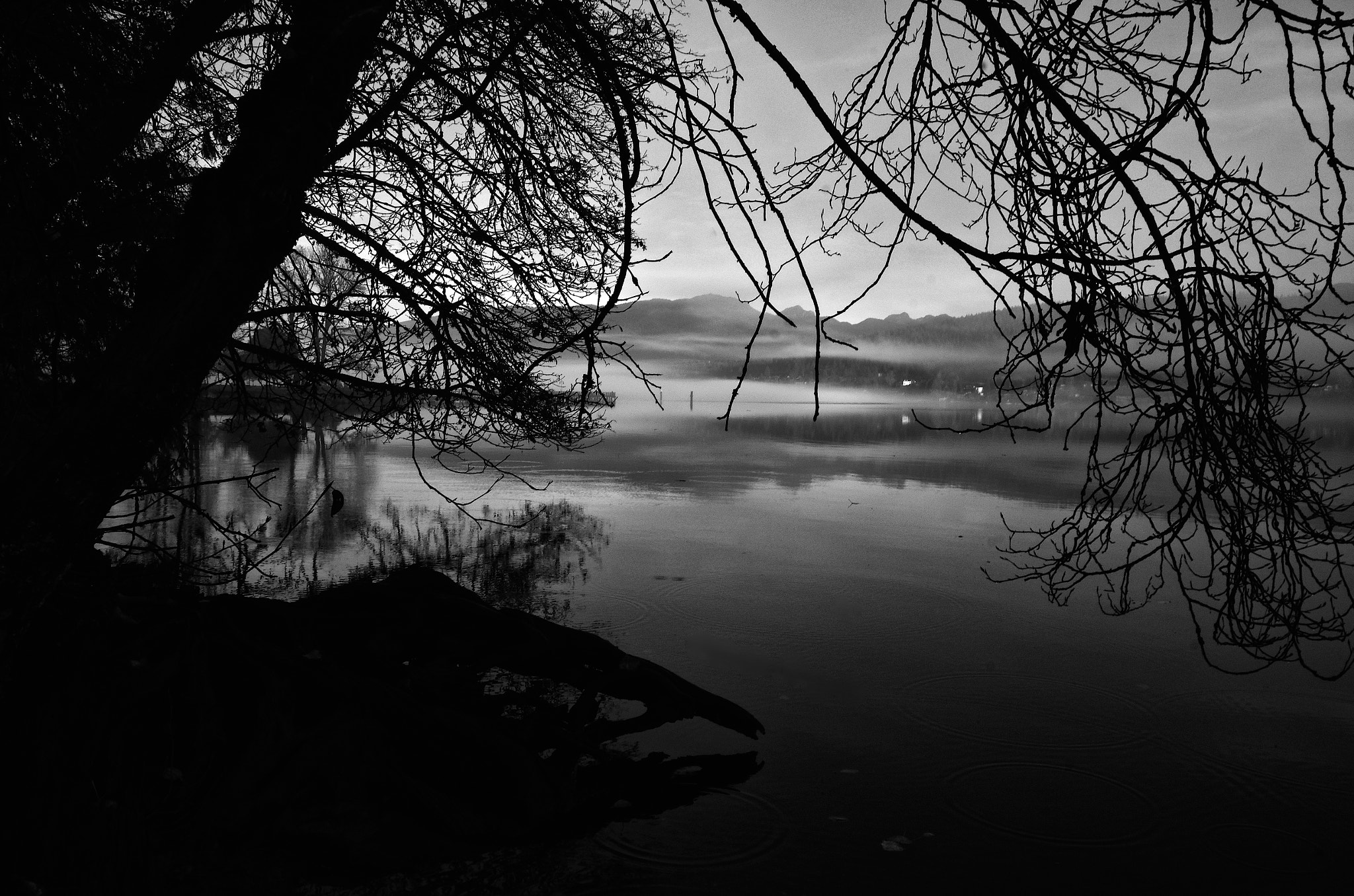 Pentax K-5 sample photo. Where the forest meets the sea photography