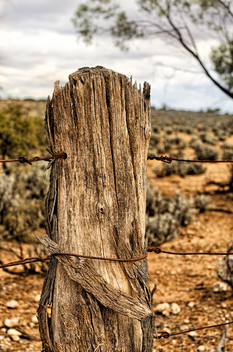 Nikon D7000 + Sigma 50mm F1.4 EX DG HSM sample photo. Fencing in nature morgan sa photography