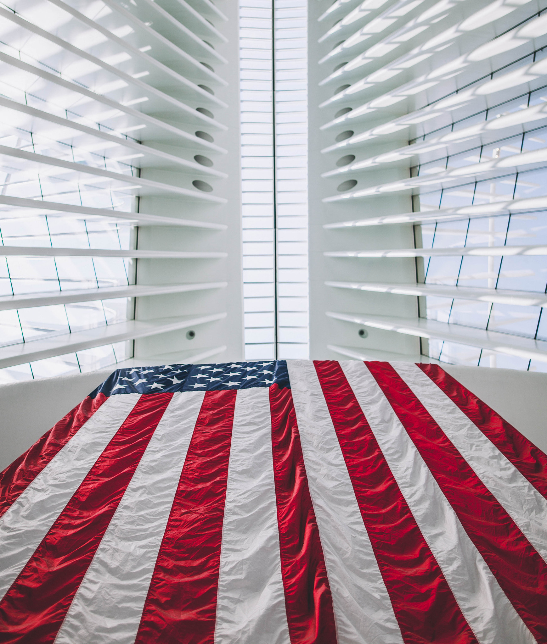 Sigma 24mm F1.4 DG HSM Art sample photo. White america by eminem photography