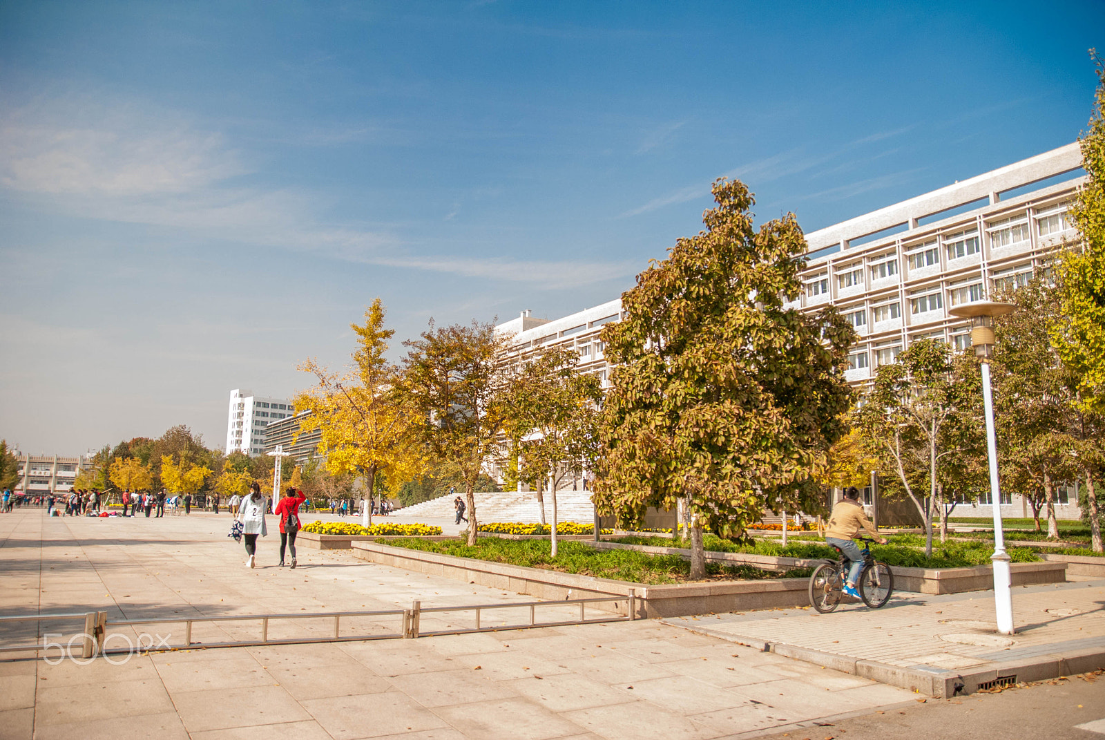 Sigma 17-50mm F2.8 EX DC OS HSM sample photo. Campus photography