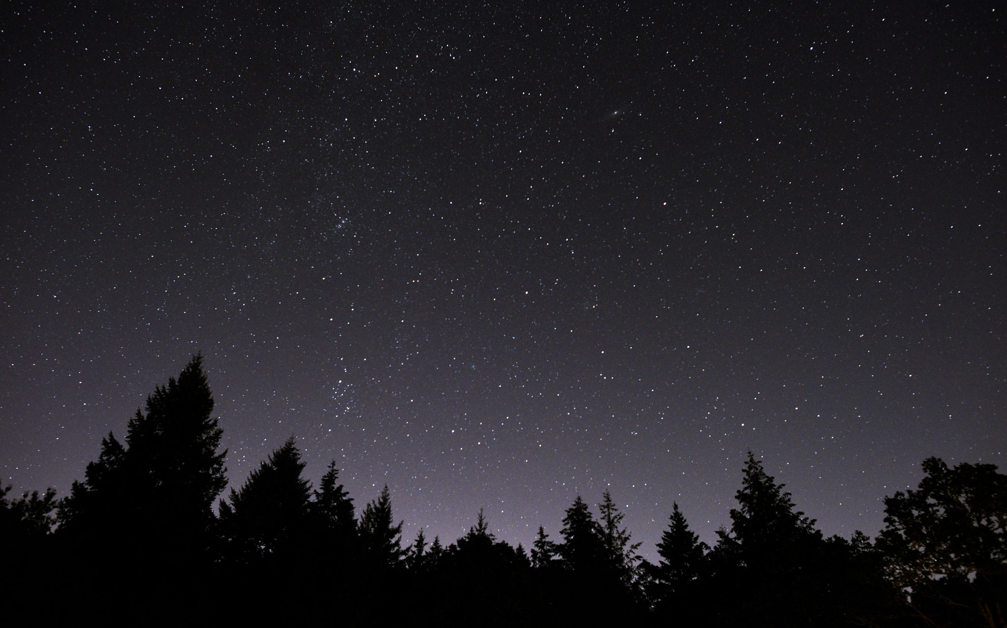 Nikon D810 + Nikon AF-S Nikkor 24mm F1.4G ED sample photo. My buddy's backyard photography