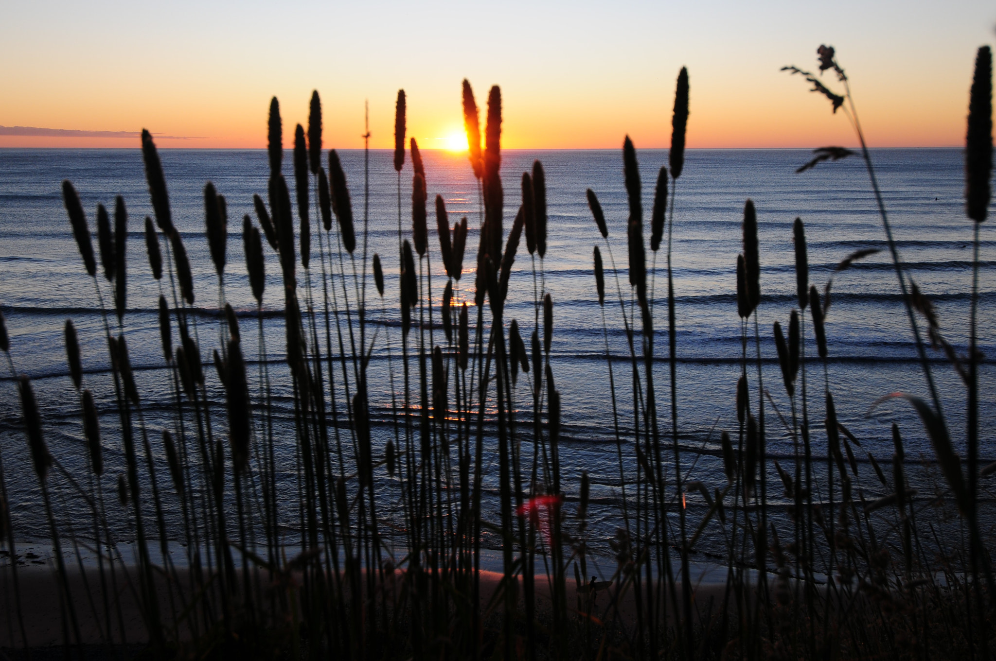 Nikon D300S sample photo. Landscape photography
