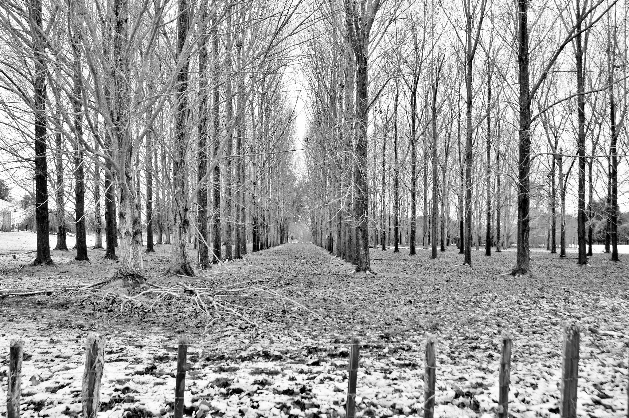 AF Zoom-Nikkor 24-120mm f/3.5-5.6D IF sample photo. Landscape photography