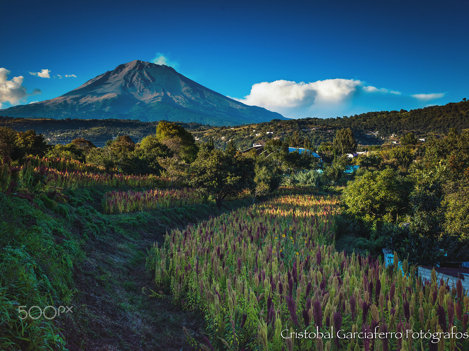Pentax 645Z sample photo. Popocatepetl, view from the tochimilco, puebla photography