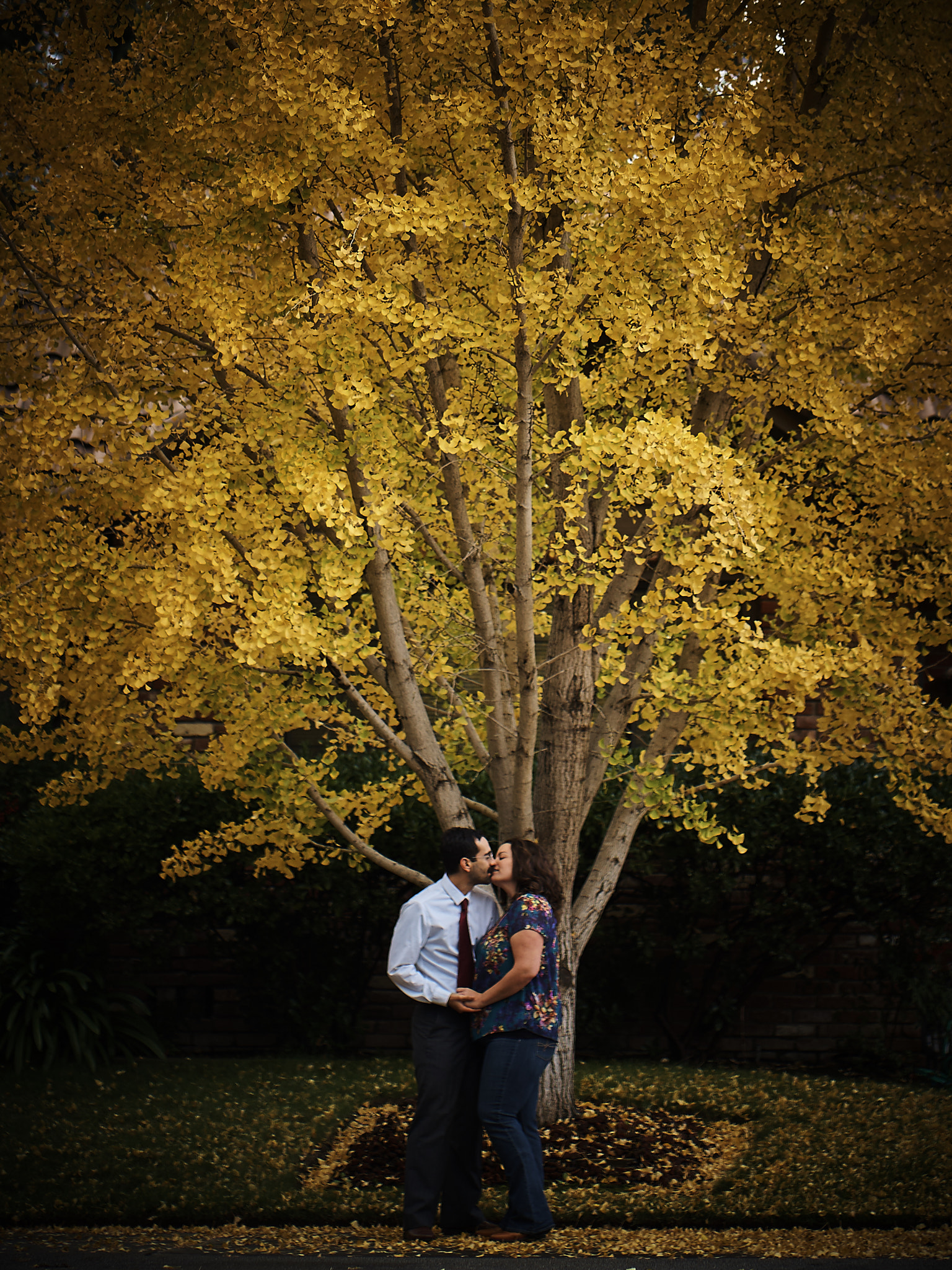ZEISS Batis 85mm F1.8 sample photo. Announcement photography