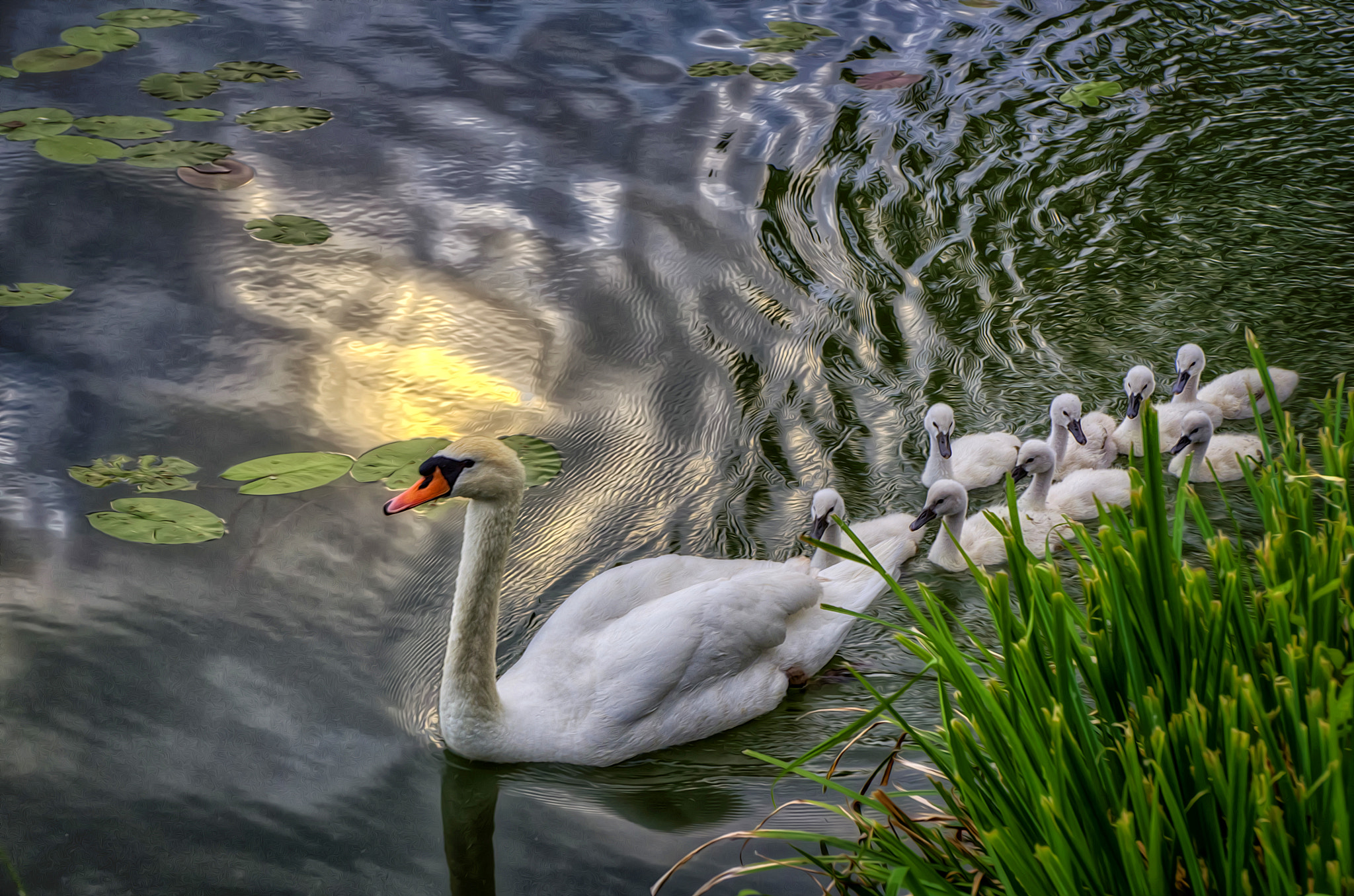 Pentax K-5 sample photo. Proud mom photography