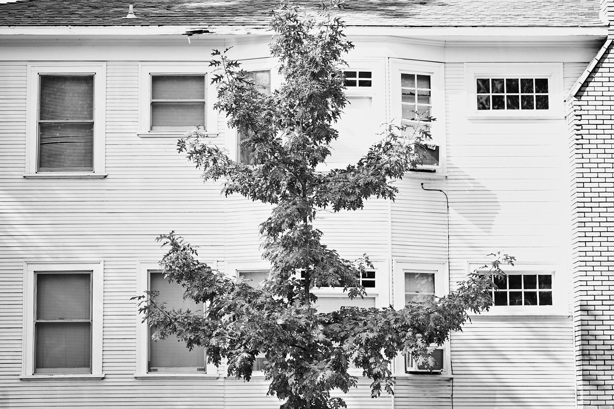 ZEISS Batis 85mm F1.8 sample photo. 12 windows photography
