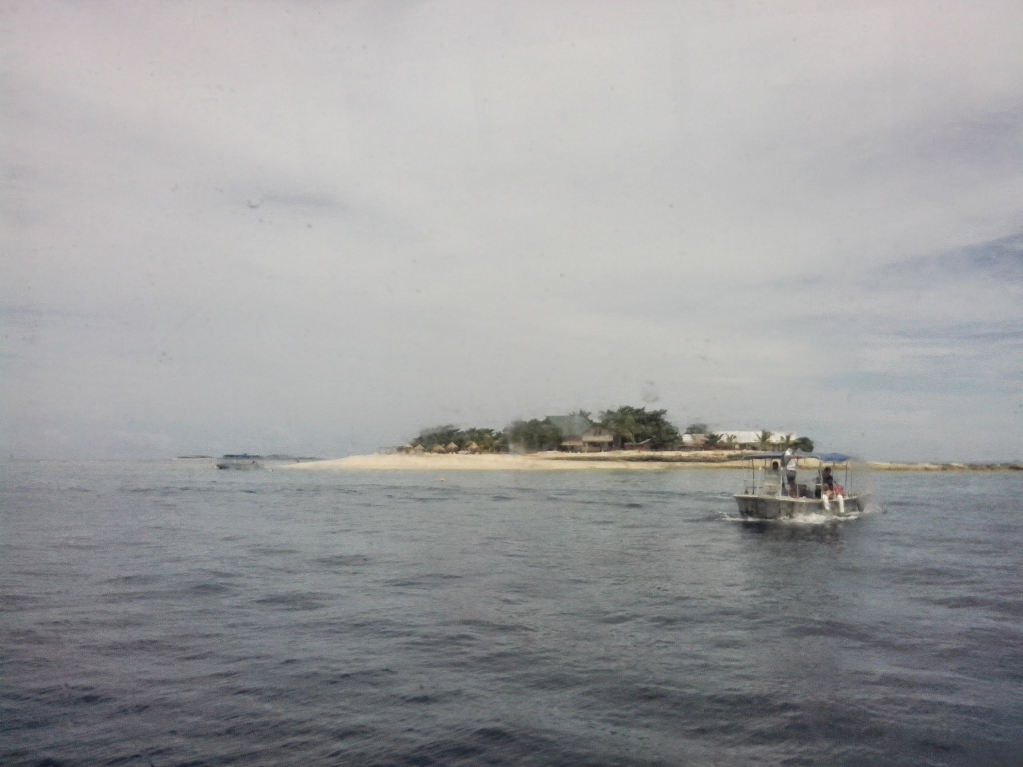 TCT ALCATEL ONE TOUCH 5020D sample photo