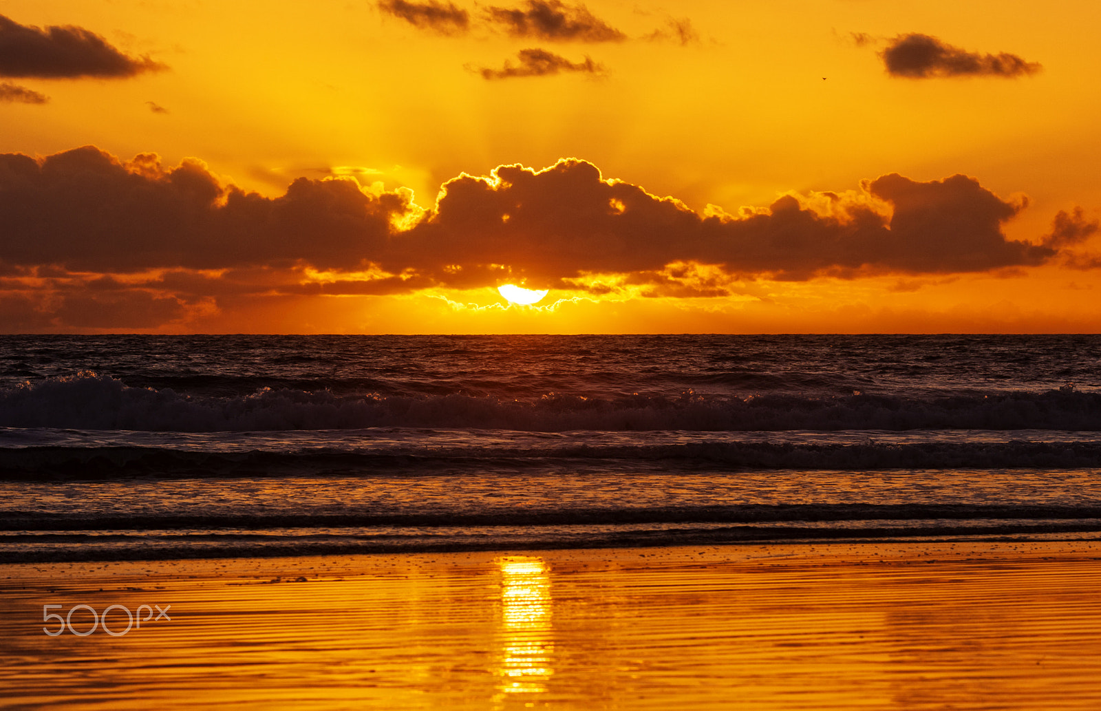 Nikon D700 sample photo. Golden sunset in oceanside -   november 1, 2016 photography