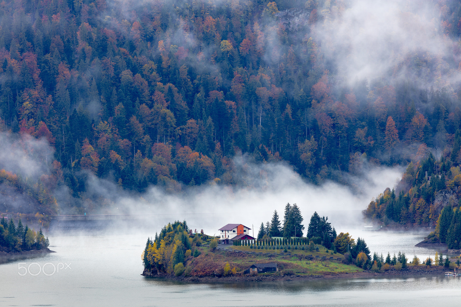 150-600mm F5-6.3 DG OS HSM | Contemporary 015 sample photo. Misty morning photography