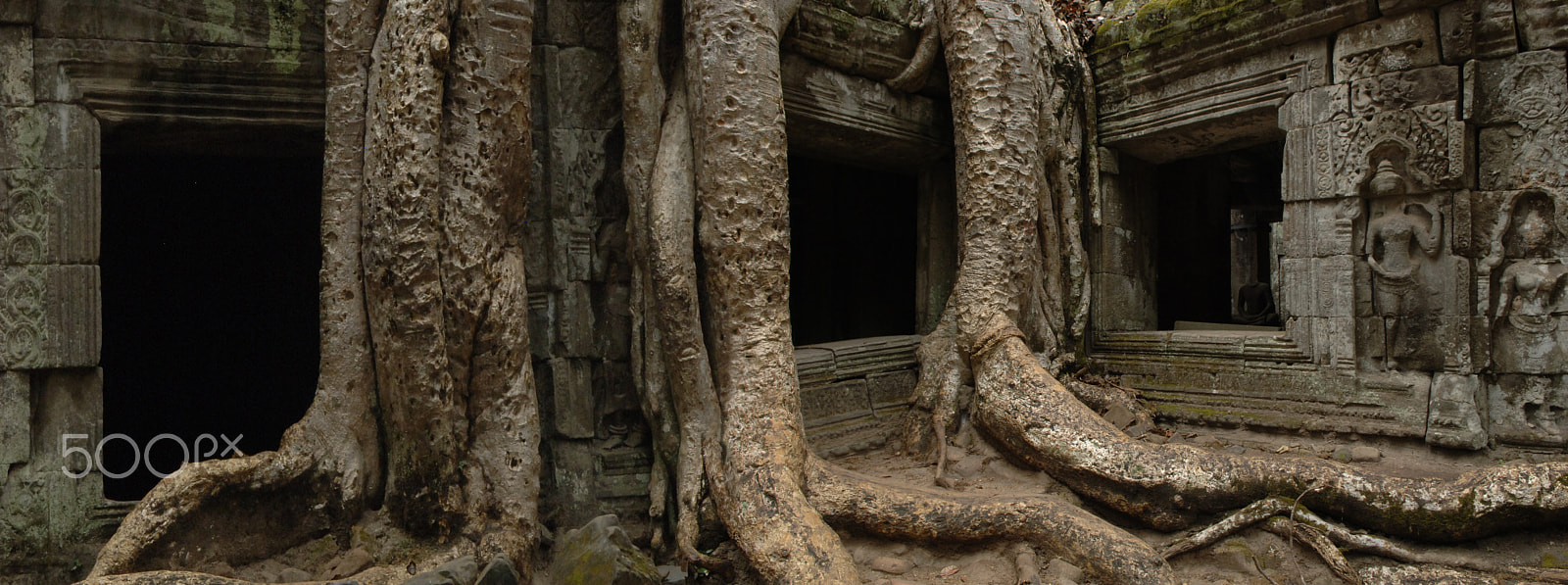 Nikon D2X sample photo. Ta prohm silence and i photography