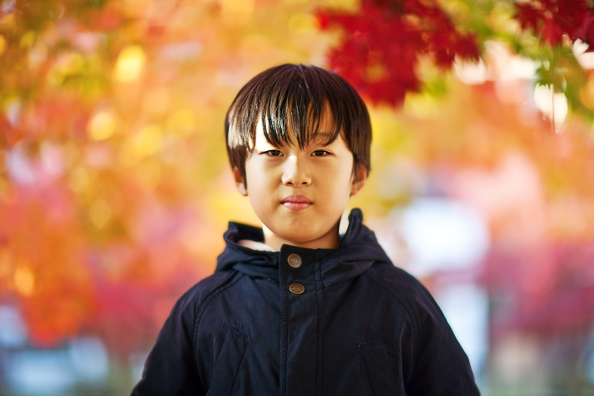 Canon EF 85mm F1.2 sample photo. Autumn and children photography