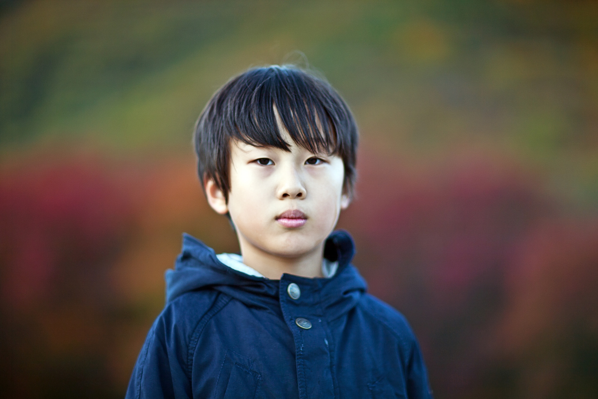 Canon EOS 5D + Canon EF 85mm F1.2 sample photo. Autumn and children photography