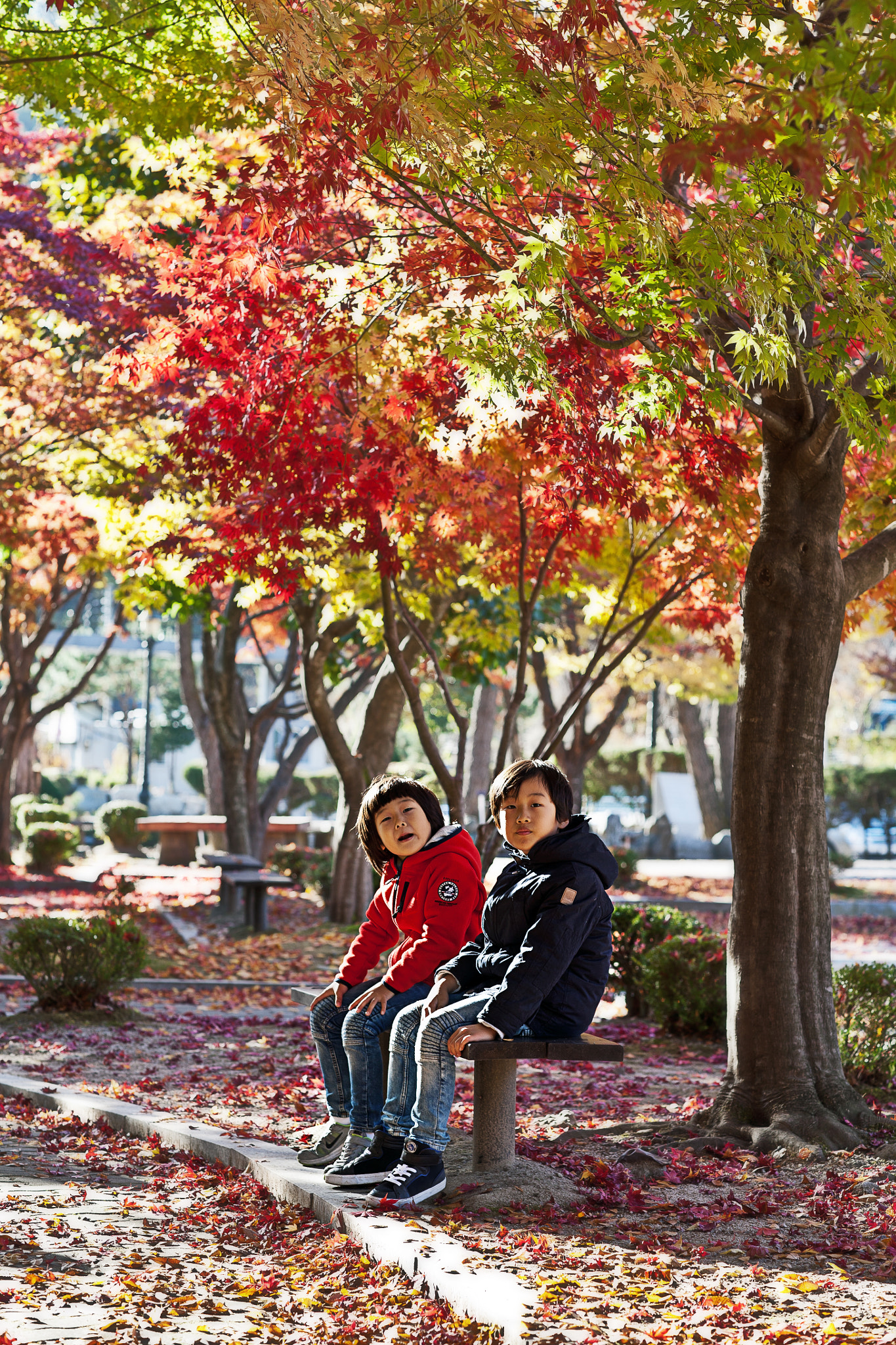 Canon EOS 5D + Canon EF 85mm F1.2 sample photo. Autumn and children photography