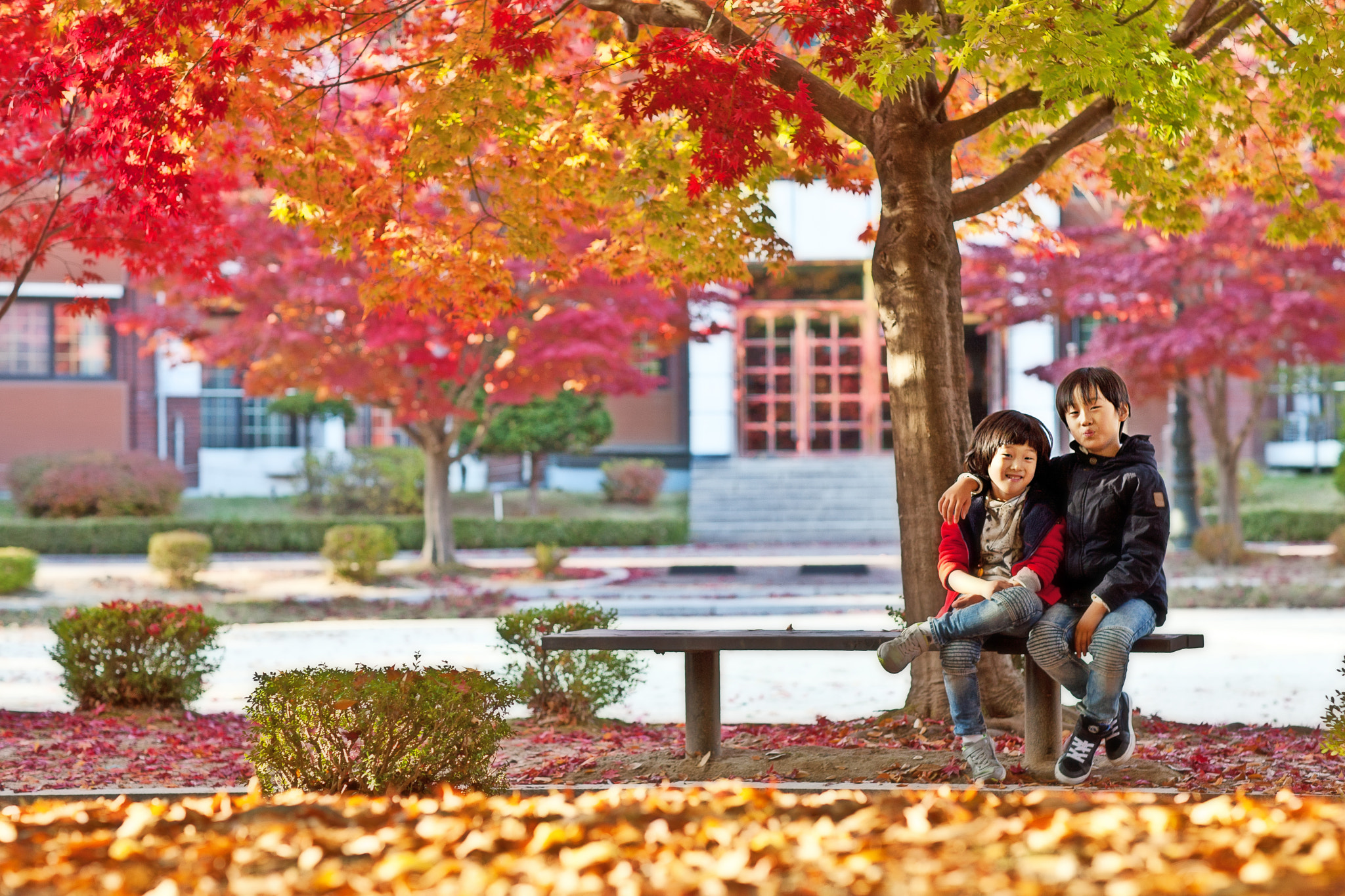 Canon EOS 5D + Canon EF 85mm F1.2 sample photo. Autumn and children photography