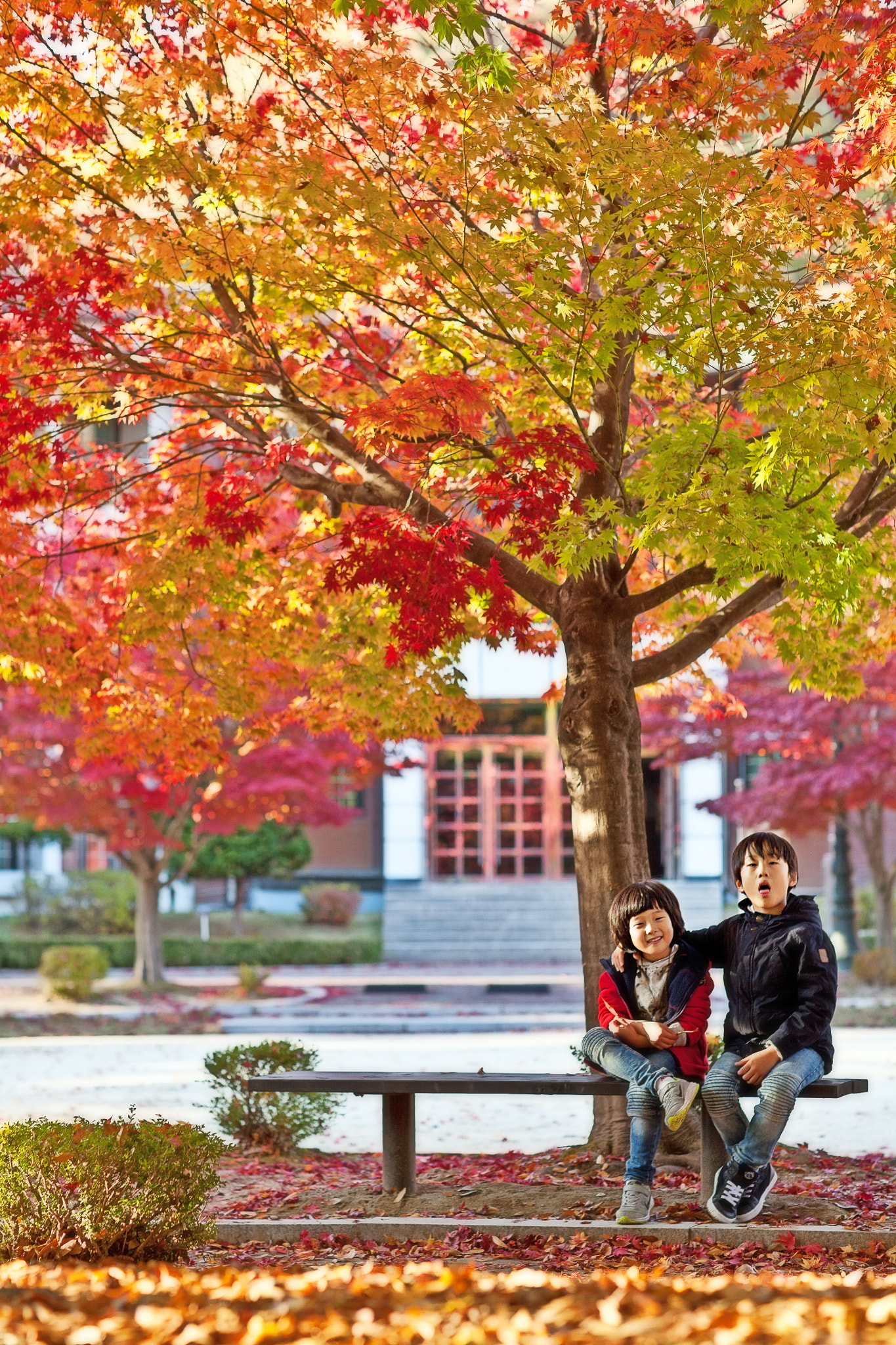 Canon EOS 5D + Canon EF 85mm F1.2 sample photo. Autumn and children photography