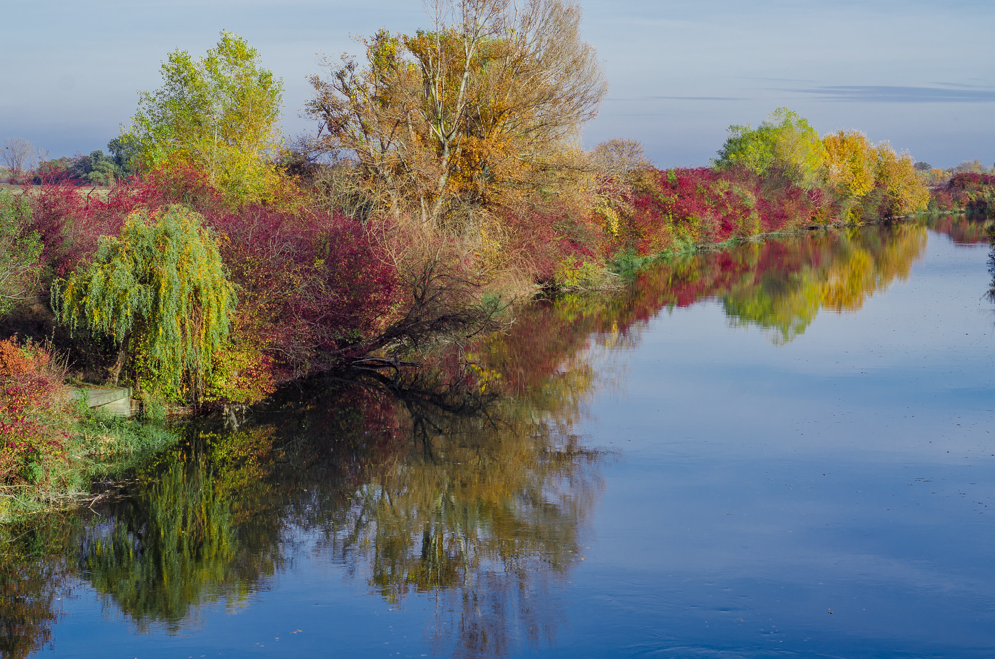 Nikon D7000 + AF Nikkor 50mm f/1.8 sample photo. Little danube river autumn photography