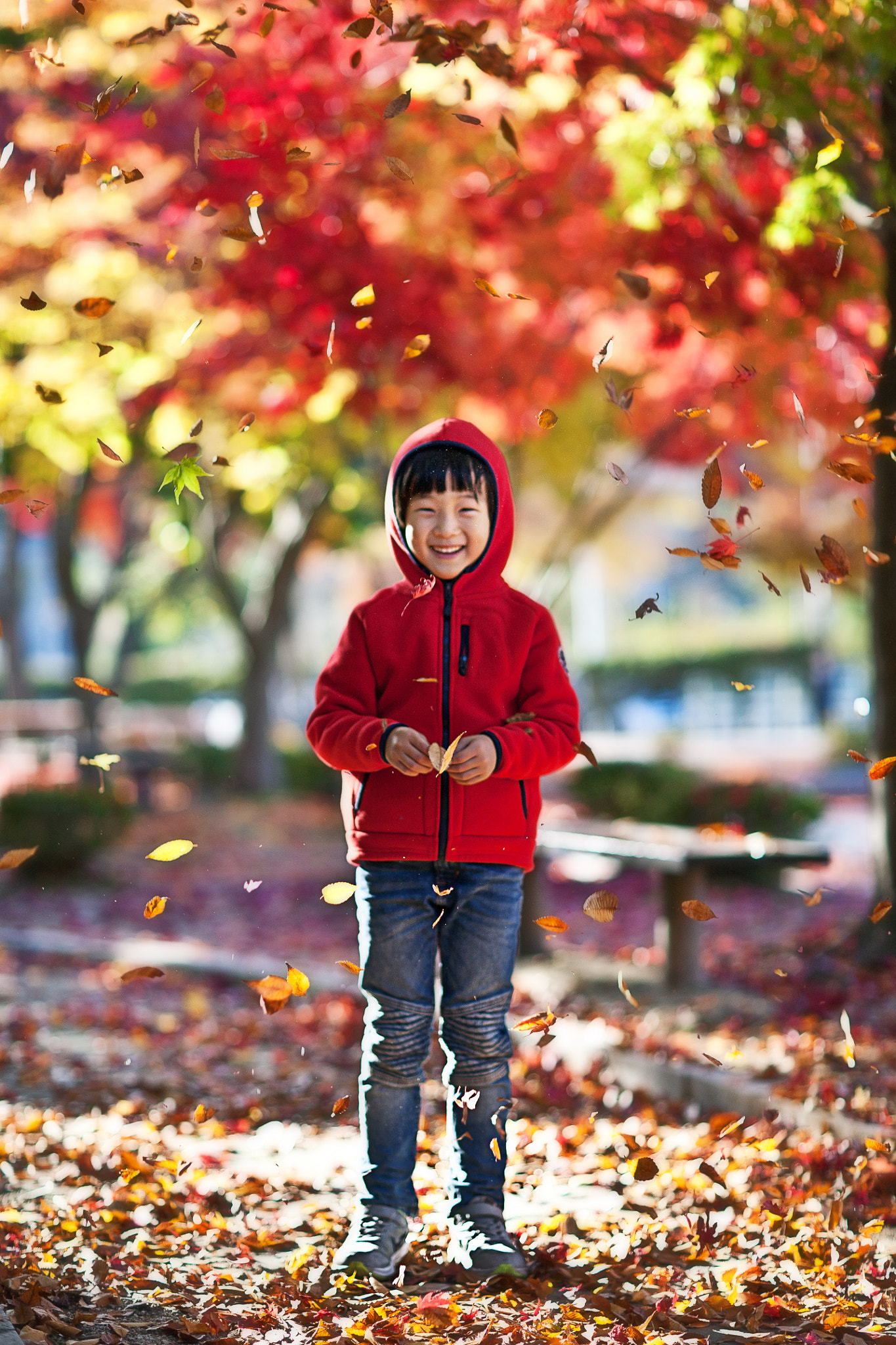 Canon EOS 5D + Canon EF 85mm F1.2 sample photo. Autumn play photography