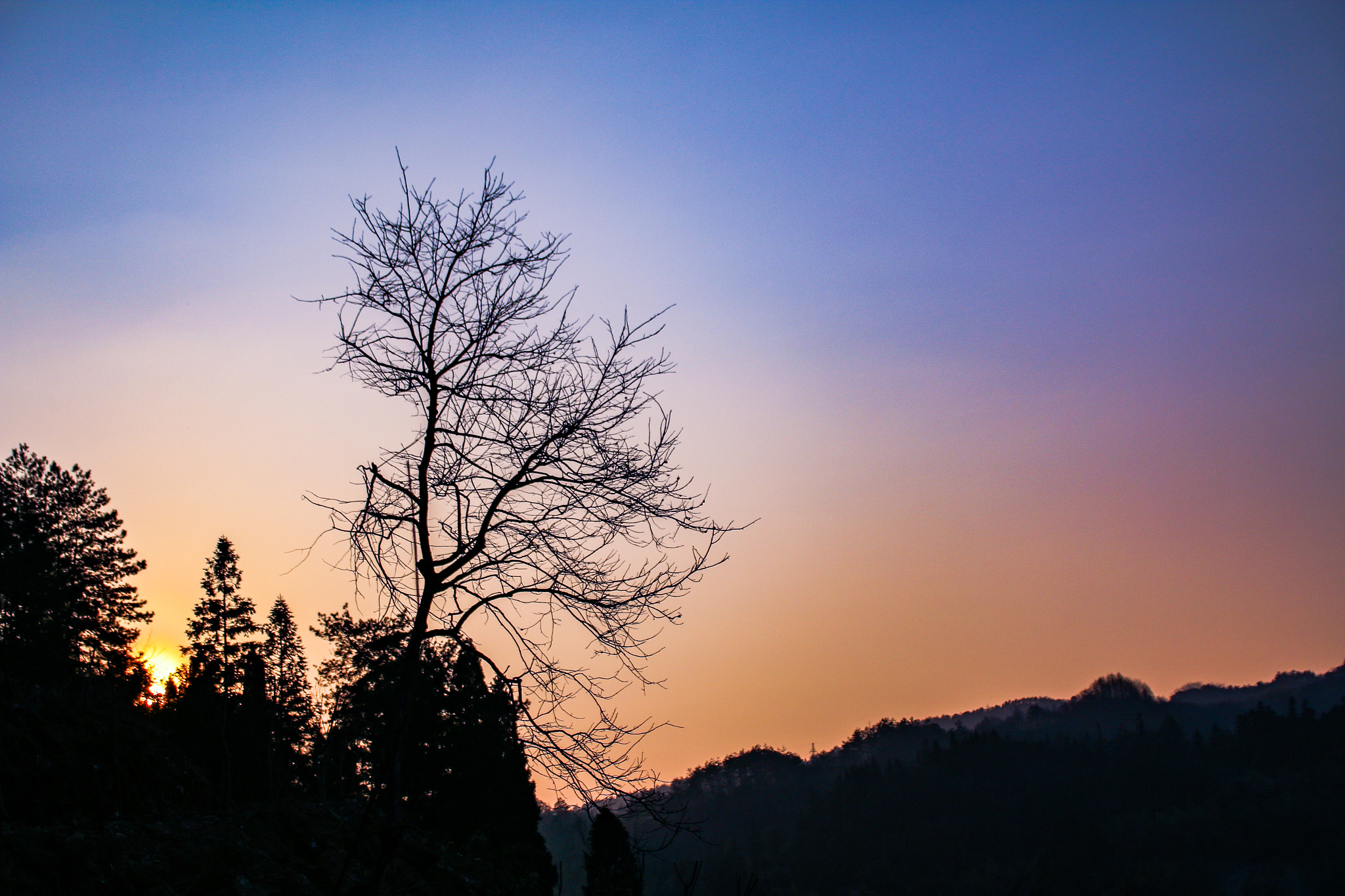 Canon EOS 70D + Canon TS-E 90mm F2.8 Tilt-Shift sample photo. Silent photography