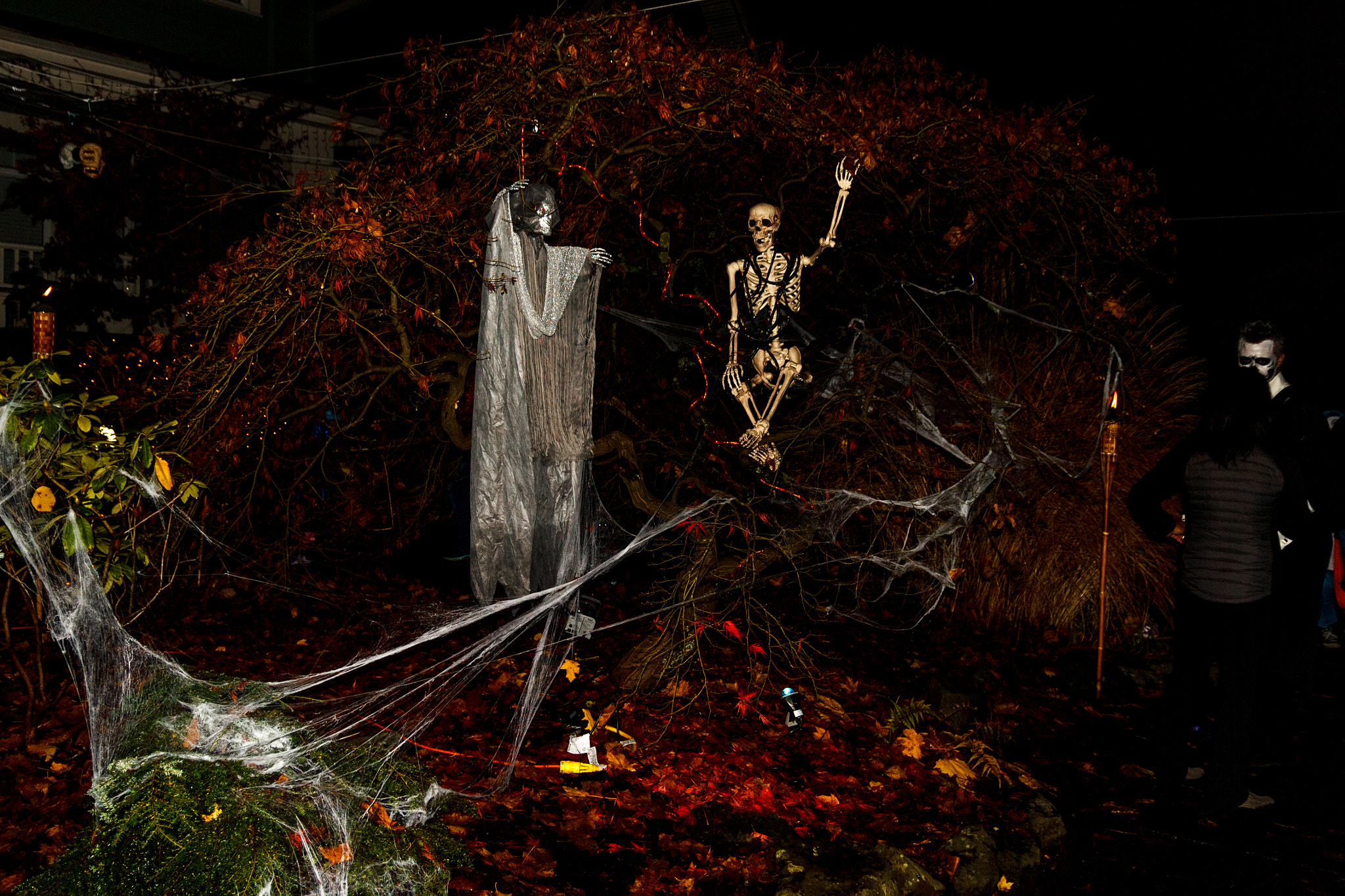 Sigma 18-50mm f/2.8 Macro sample photo. Halloween photography