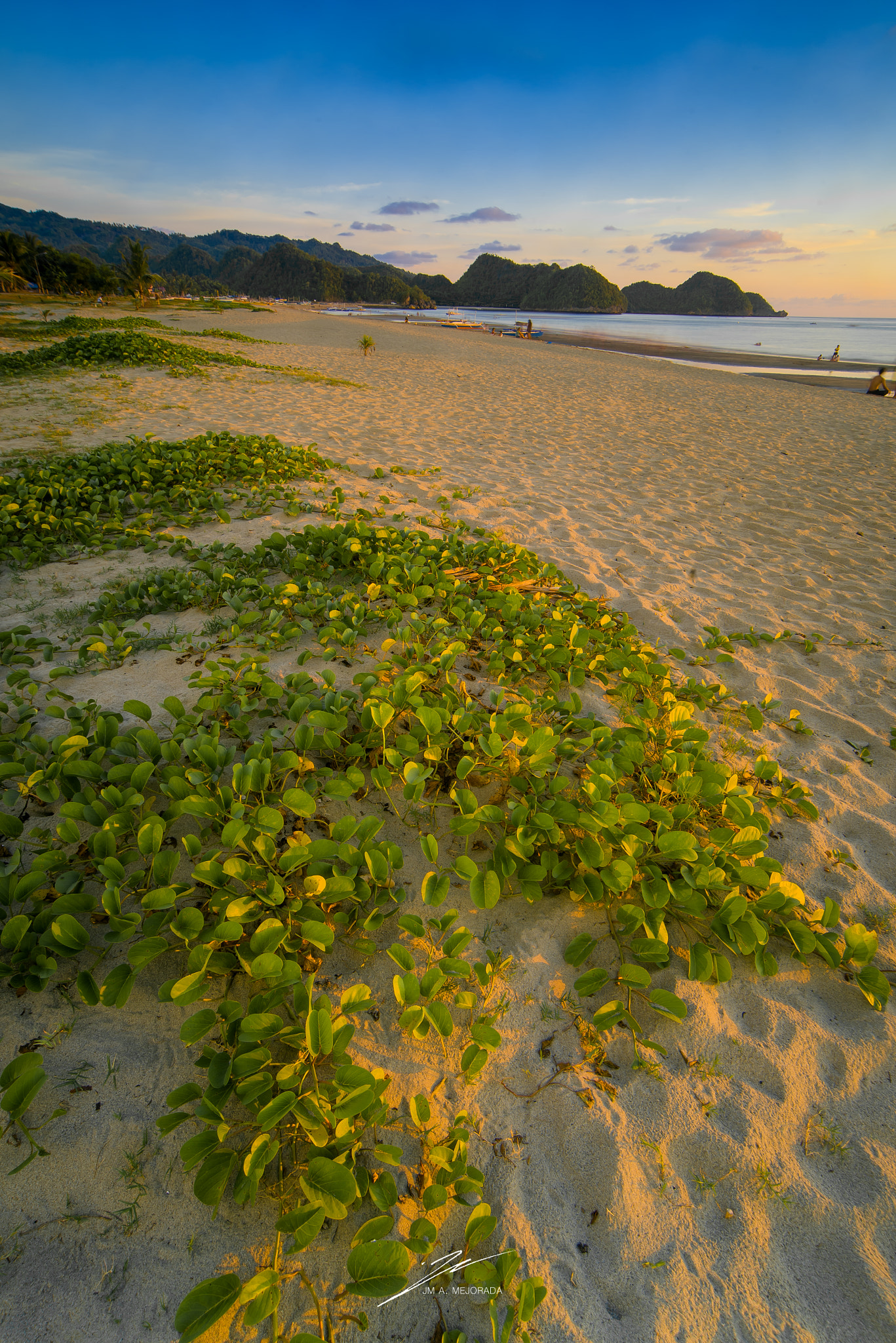 Nikon D750 sample photo. Sipalay beachfront sunset photography