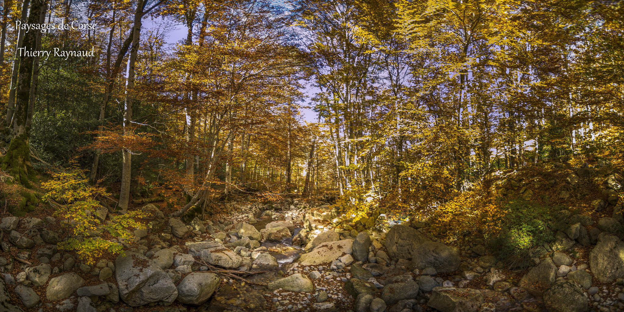 Nikon D600 sample photo. Automne à vizzavona photography
