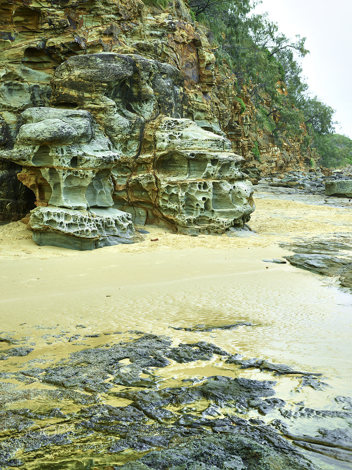 Schneider LS 80mm f/2.8 sample photo. Maroochydore queensland photography