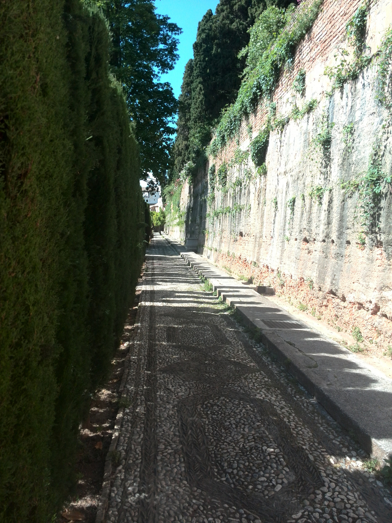 HUAWEI P6-U06 sample photo