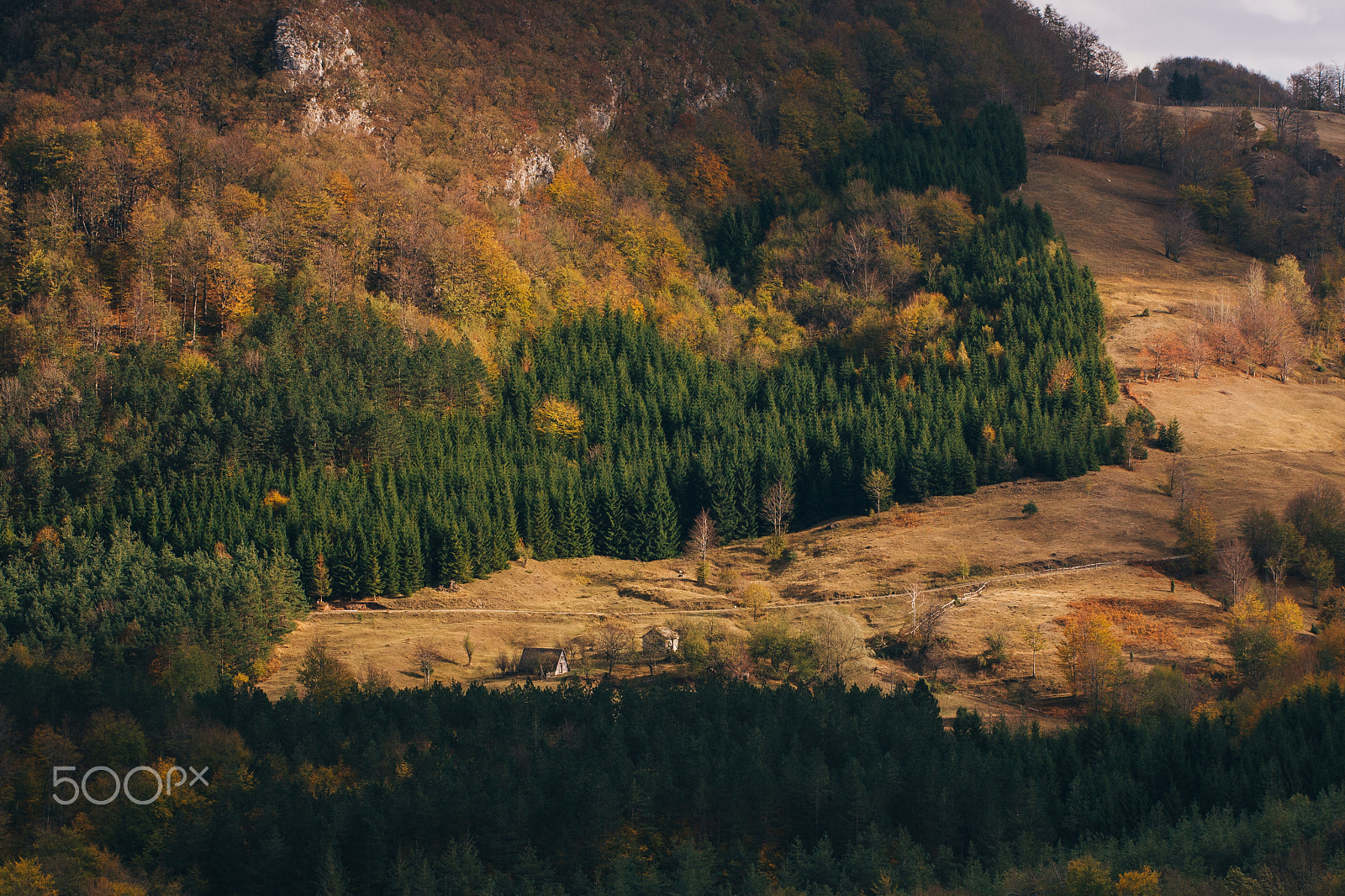 Canon EF 100mm F2.8L Macro IS USM sample photo. Autumn in mountain photography