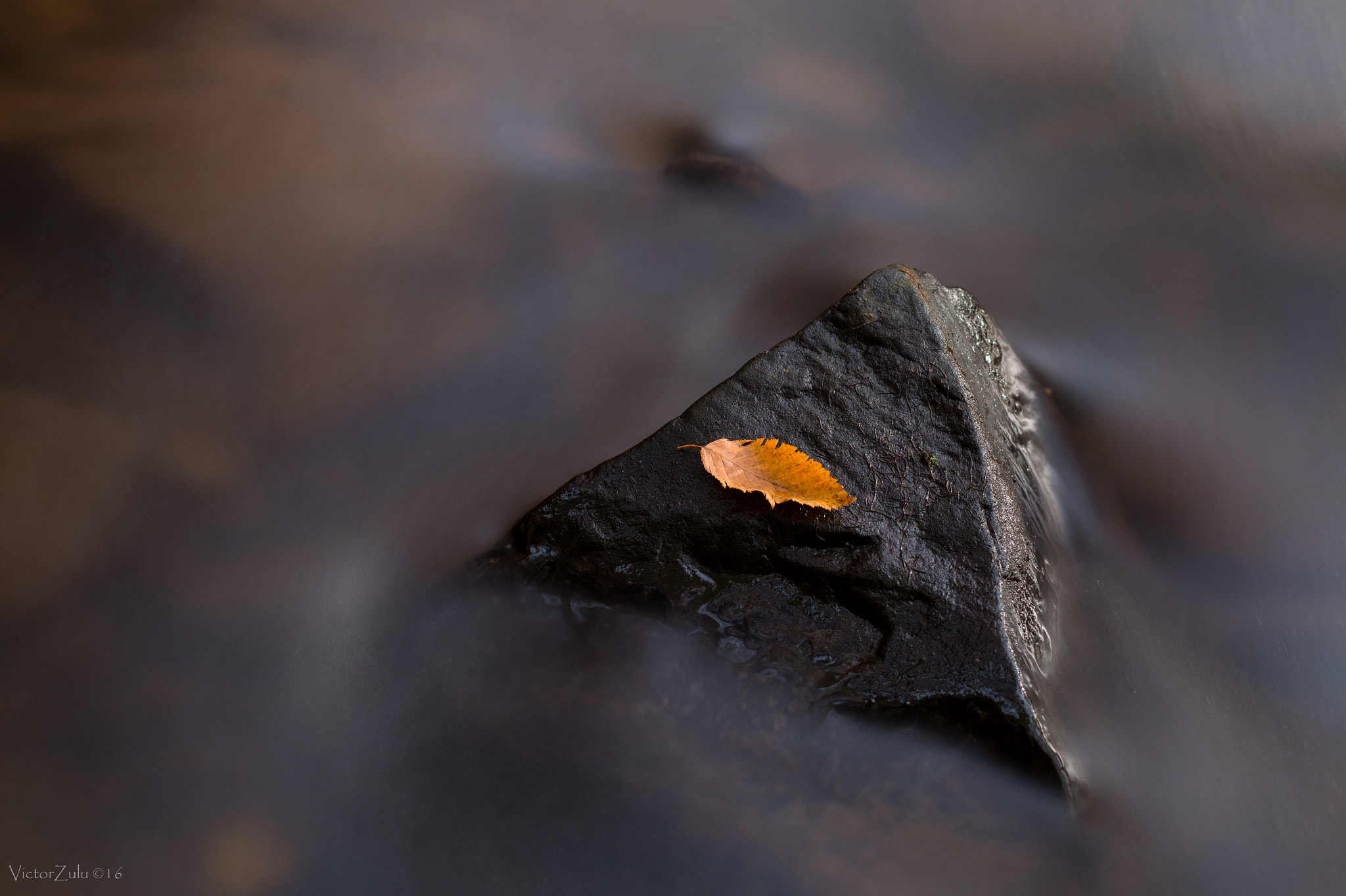 Canon EOS 70D + Canon EF 35mm F2 IS USM sample photo. Leaf island photography