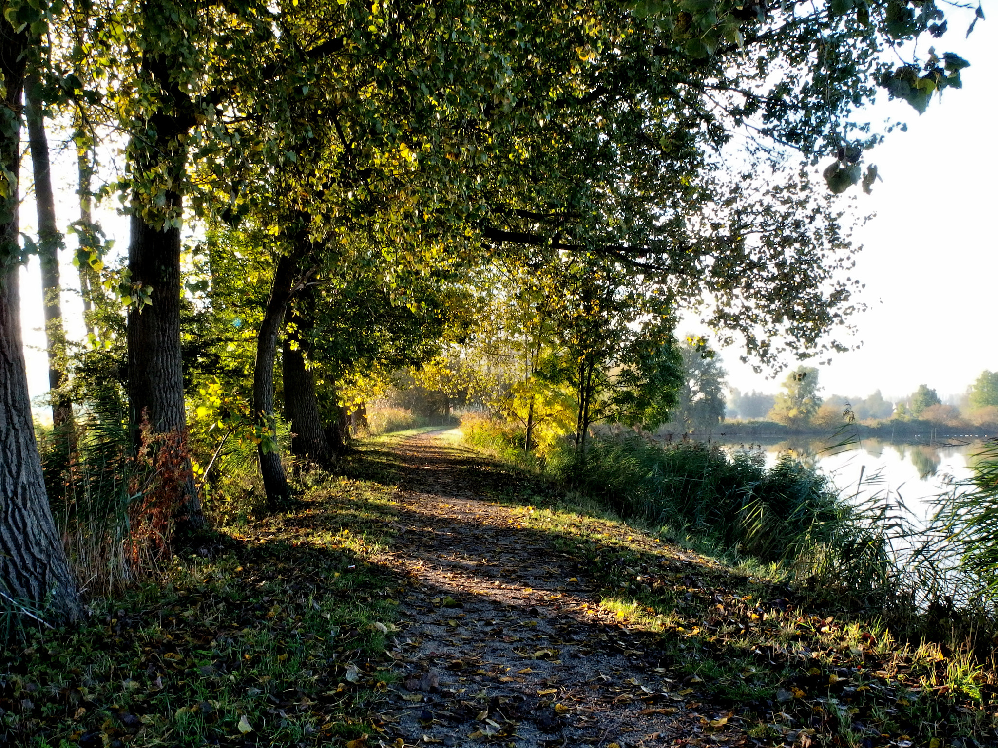 Olympus Stylus XZ-10 sample photo. A autumn walk near the old river photography
